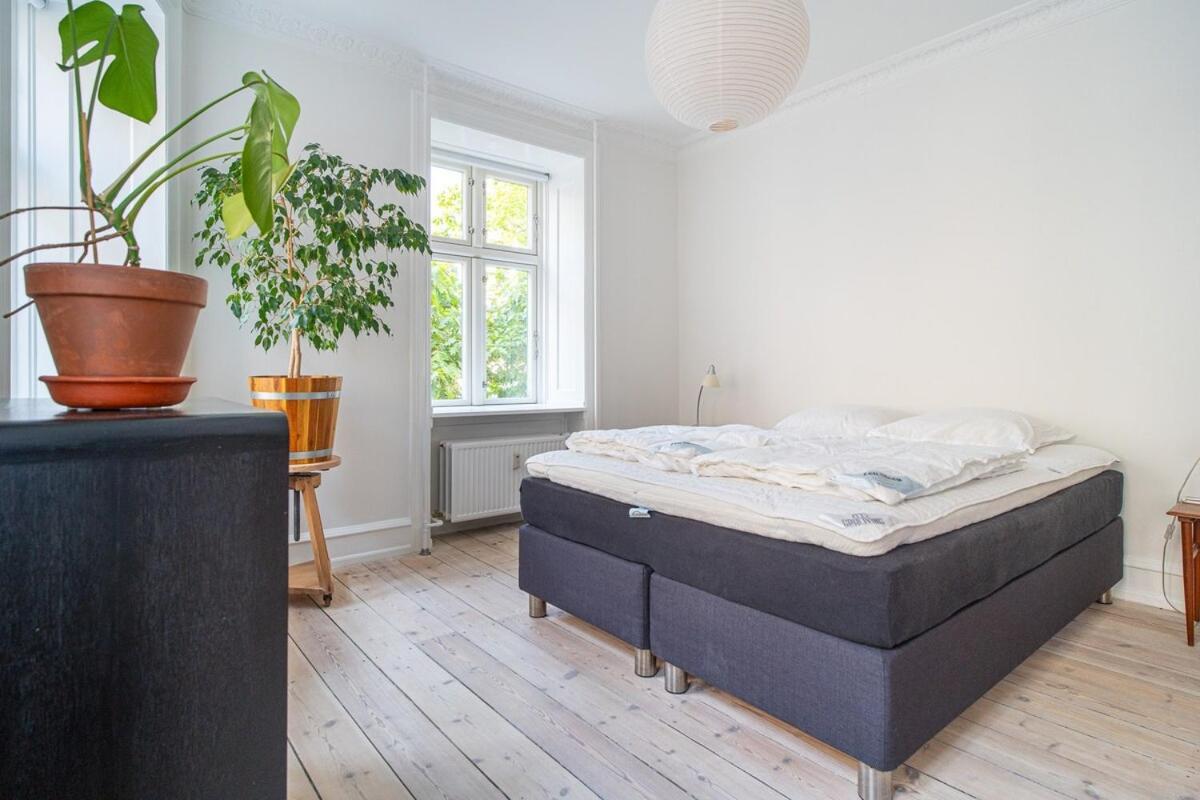 Stylish & Spacious In Trendy Norrebro Lejlighed *